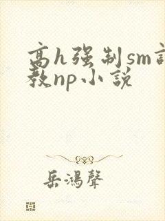 高h强制sm调教np小说