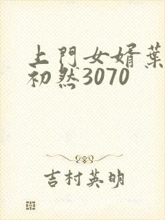 上门女婿叶辰萧初然3070