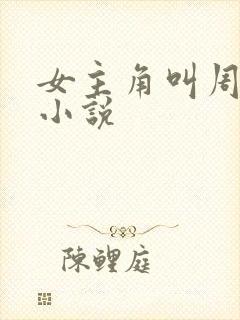 女主角叫周晴的小说