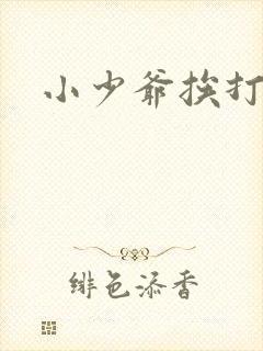 小少爷挨打日常