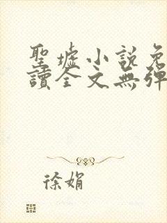 圣墟小说免费阅读全文无弹窗封面