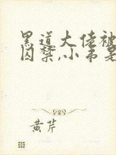 黑道大佬被小弟囚禁,小弟是攻小说