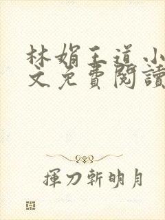 林娟王道小说全文免费阅读