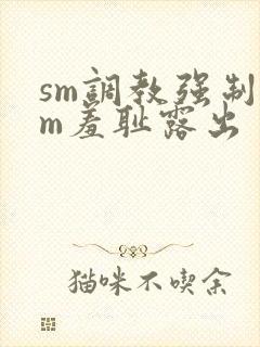 sm调教强制女m羞耻露出