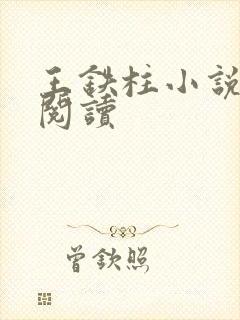 王铁柱小说免费阅读