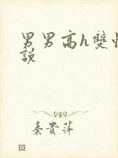 男男高h双性小说