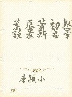 叶辰萧初然的小说最新篇章