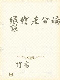 绿帽老公娇妻小说