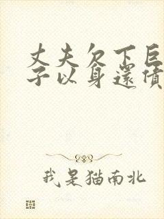 丈夫欠下巨债妻子以身还债电影