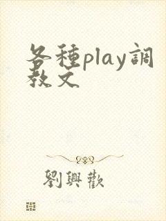 各种play调教文封面