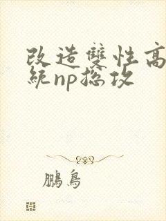 改造双性高h系统np总攻