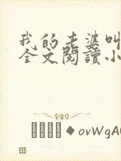 我的老婆叫武艳全文阅读小说封面