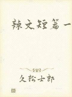辣文短篇一对一封面