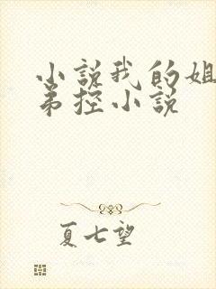小说我的姐姐很弟控小说