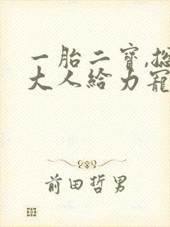 一胎二宝,总裁大人给力宠