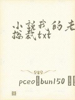 小说我的老婆是总裁txt封面