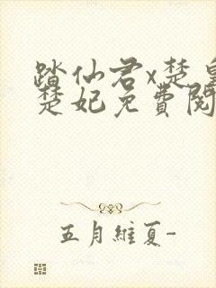 踏仙君x楚皇x楚妃免费阅读