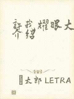 许我耀眼大结局介绍