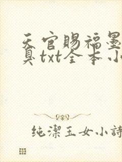 天官赐福墨香铜臭txt全本小说