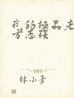 我的极品老婆,方志强封面