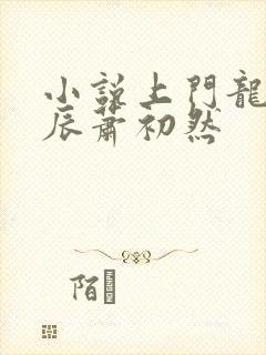 小说上门龙婿叶辰萧初然