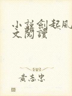 小说剑起风云全文阅读封面