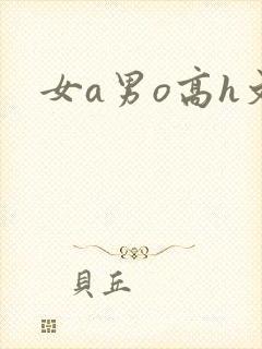 女a男o高h文