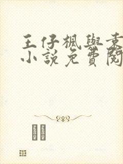 王仔枫与袁雯洁小说免费阅读