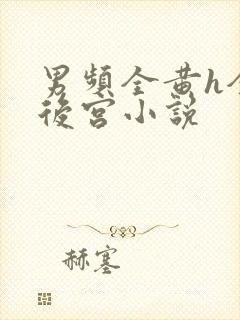 男频全黄h全肉后宫小说