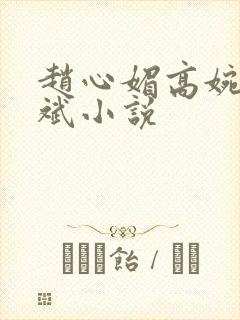 赵心媚高婉君陈斌小说