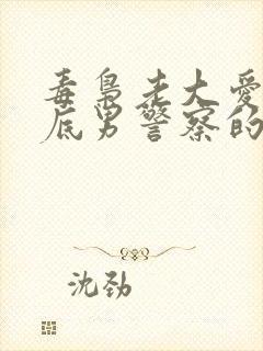 毒枭老大爱上卧底男警察的小说封面