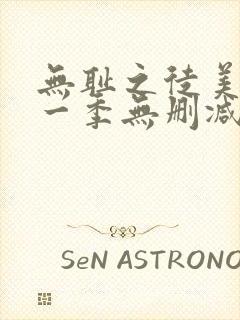 无耻之徒美版第一季无删减版封面