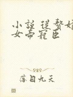 小说 从赘婿到女帝宠臣