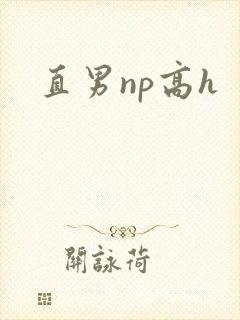直男np高h