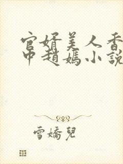 官婿美人香刘志中赵嫣小说