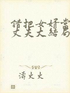 错把女婿当成了丈夫大结局