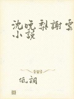 沈晚梨谢云迟 小说