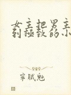 女主把男主囚禁到极致的小说