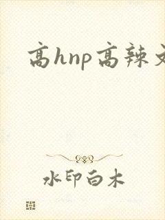 高hnp高辣文