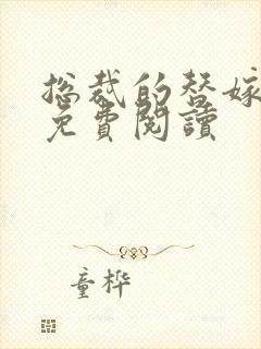 总裁的替嫁新娘免费阅读封面