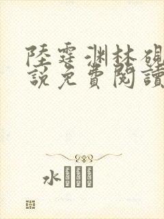 陆霆渊林砚秋小说免费阅读最新章节列表封面