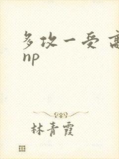 多攻一受 高h np