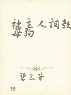 被主人调教成骚母狗