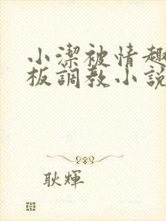 小洁被情趣店老板调教小说