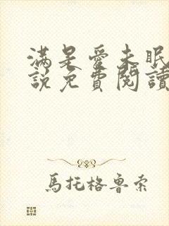 满是爱未眠2小说免费阅读全文