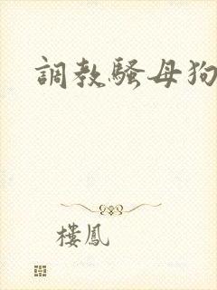 调教骚母狗被艹