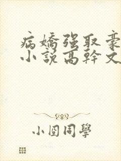 病娇强取豪夺的小说高干文