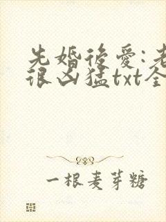 先婚后爱:老公很凶猛txt全文下载
