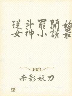 从斗罗开始俘获女神小说最新章节列表封面