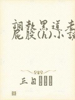 调教黑道老大的屁股(h)小说封面